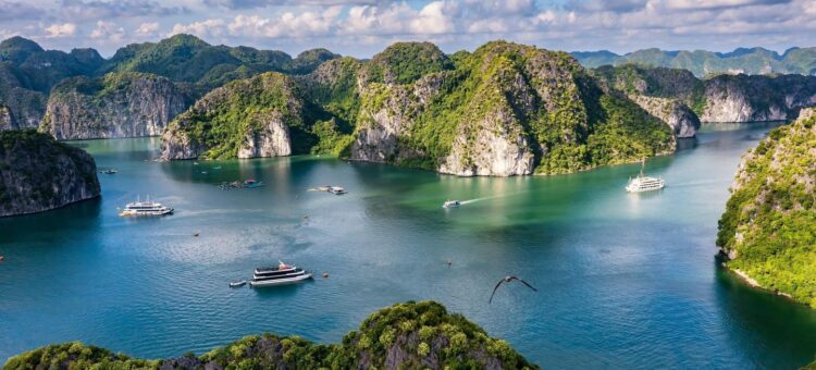 484674522 644636455178250 4632563573378200848 n