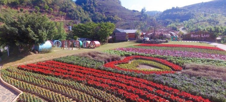 Vườn hoa nhiệt đới