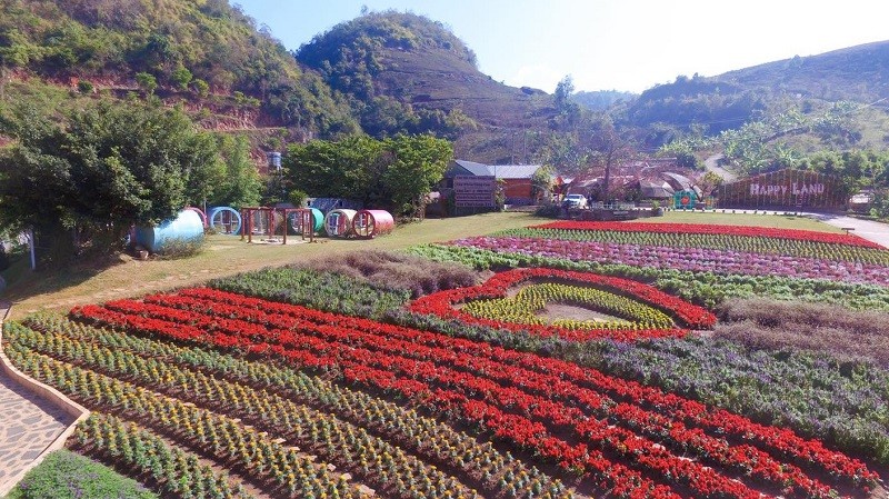 Vườn hoa nhiệt đới