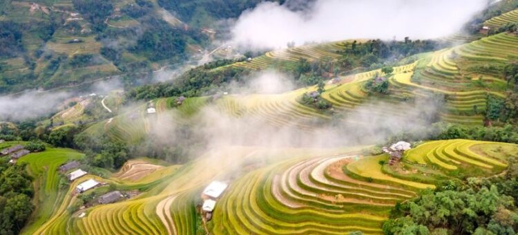 Trên cao của hà giang